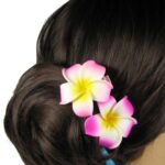 hair_clip_2.jpg
